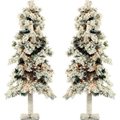 Almo Fulfillment Services Llc Fraser Hill Farm Artificial Christmas Tree - 3 Ft. Snowy Alpine Tree - Clear Lights - Set of 2 FFSA030-1SN/SET2